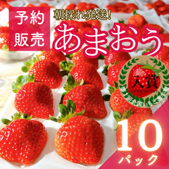 【予約販売商品】【減農薬】福岡県産あまおういちご 10パック (2850g)