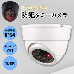 ダミーカメラ ドーム型 防犯 防犯グッズ 屋内 屋外 監視カメラ ダミー 防犯カメラ 偽物 偽 電池式 セキュリティ 対策 天井 壁付け 屋根 軒下 ランプ 点滅 空き巣 泥棒 家 自宅 お店 マンション アパート 犯罪 防止 壁のサムネイル
