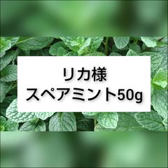 自家栽培(温室栽培) スペアミント100g 冷蔵便 - メルカリ