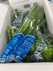 訳ありお野菜セット　クール便のサムネイル