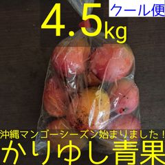 沖縄県産 ミニマンゴー 約4.5kg【クール便】①
