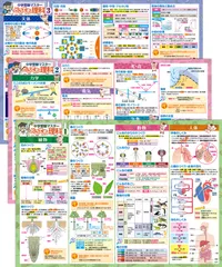 2024年最新】中学受験んの人気アイテム - メルカリ