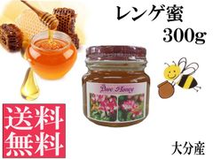 レンゲ蜜300g 非加熱 生はちみつ 国産 純粋 送料無料