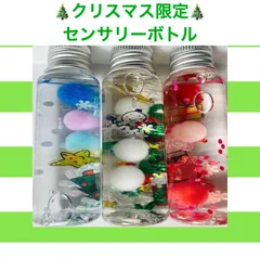 クリスマス センサリーボトル ✨ 知育玩具 ✨ ハーバリウム風