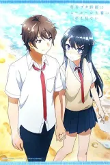 【中古】タペストリー 麻衣&咲太 描き下ろしB2タペストリー 「Blu-ray/DVD 青春ブタ野郎はバニーガール先輩の夢を見ない」 アニメイト全巻購入特典のサムネイル