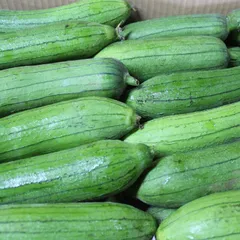 沖縄産　へちま（ナーベーラー）５キロ　沖縄野菜 食用ヘチマのサムネイル