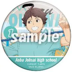 ハイキュー!! カラパレ 掃除缶バッジ 及川徹 46点 ハイキュー!! カラパレ 掃除缶バッジ （及川徹・影山飛雄