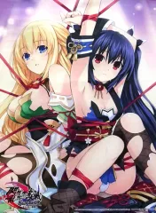 【中古】タペストリー [単品] ベール＆ノワール 描き下ろしB2タペストリー 「PS4ソフト 閃乱忍忍忍者大戦ネプテューヌ -少女達の響艶- ねぷねぷシノビ萌絵箱 WonderGOO オリジナル限定セット＆WonderGOO オリジナル特大タペストリーセット」