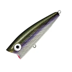 2025年最新】レーベルポップrの人気アイテム - メルカリ