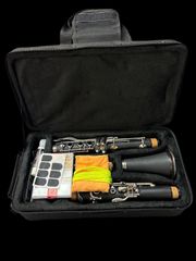 Item thumbnail for item c3a55b92-4f99-427a-96ad-87ac47e4f202