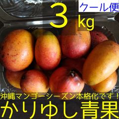 沖縄県産 ミニマンゴーＢ品 約３kg【クール便】③