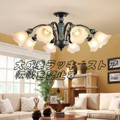 シャンデリア アイアン ホワイト 5灯 欧風 南欧風 フランス製