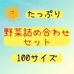 採りたて農家直送❣️野菜詰め合わせセット❣️100サイズ‼️ミニトマトや丹波産枝豆入り!
