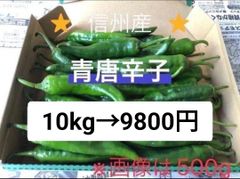 中辛唐辛子（青＋赤）太め 10kg 長野県産 信州 産地直送 - メルカリ