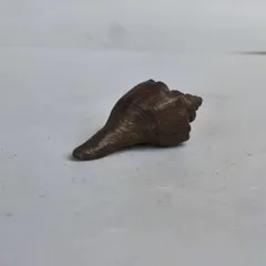 2025年最新】蓋置 栄螺の人気アイテム - メルカリ