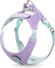 Item thumbnail for item 256d42e5-2a21-466e-b107-4e9ef423bb85