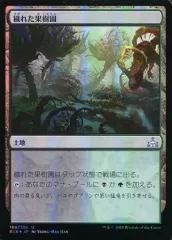 【中古】マジックザギャザリング 188/196[U]：【FOIL】穢れた果樹園/Foul Orchard