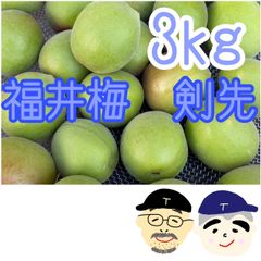 5/28収穫分 青梅 8kg - メルカリ
