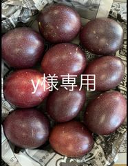 y様専用ページ