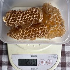 あかしあ巣蜜120g  巣みつ　ハチミツ　西洋ミツバチ　コムハニー