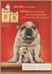 OLD GOLD レトロミニポスター B5サイズ 複製広告 ◆ タバコ オールドゴールド bulldog 犬 ブルドッグ USAD5-515