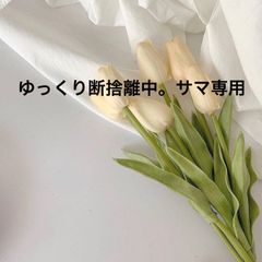 ゆっくり断捨離中。サマ専用
