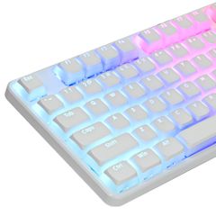 Ussixchare PBTプリンティングキーセット117キー、デュアルレンズ半透明XDA輪郭、ISOとANSIレイアウト61/68/84/87/104キーメカニカルキーボードに適している(プリン白)