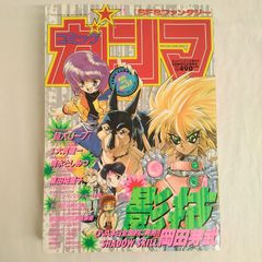 竹書房 コミックガンマ no.27 1995年11月25日号 超犬リープ 魔境学園風雲記ハーフ＆ハーフ 影技SHADOWSKLL ふぁんたじあ 大貫健一 風野真知雄 巣田祐里子 岡田芽武 永野あかね️ 当時物 AIG6-5E