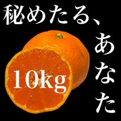 【10kg】中生みかん