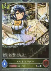 2025年最新】リーダーカード エボルヴの人気アイテム - メルカリ