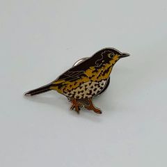 英国　ブリティシュ ワイルドライフ　『 ツグミ 』　ピンバッジ   British wildlife  鳥　バード　バッチ　ビンテージ　Barbour バブアー レトロ　昭和 　( BAT1394 )