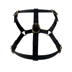定価22.6万 未使用 ルイ ヴィトン エテュイ 3 モントル RFID LOUIS VUITTON - 定価22.6万 未使用 ルイ ヴィトン LOUIS