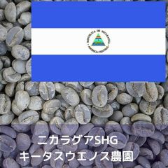 コーヒー生豆 ニカラグアSHG キータスウエノス農園 Qグレード 1kg