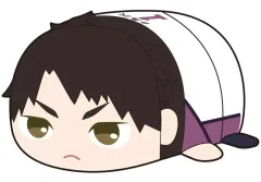 ハイキュー！！ぽてコロマスコット2 日向翔陽 影山飛雄 及川徹 牛島若利 ハイキュー！！ぽてコロマスコット2 日向翔陽 影山飛雄 及川徹 牛島若