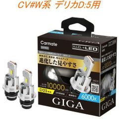 【定形外郵便】カーメイト  GIGA LEDヘッドバルブ D10 6000K D2S ミツビシ CV#W系 デリカD:5用【BW903】