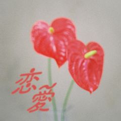 【★数量限定★】恋愛[初回完全限定生産] [Analog]
