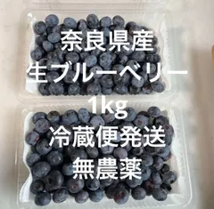 ☆令和7年 生ブルーベリー☆農薬不使用 3㌔ Amazon.co.jp: 令和7年産 無添加 冷凍ブルーベリー 1kg 冷凍果