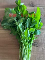新鮮❗️曲者‼️野菜セット🥬　クール便