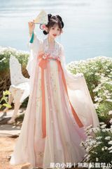 金瑶 漢服 唐風 斉胸襦裙 コスプレ衣装 中華風 仙女服 刺繍 H58