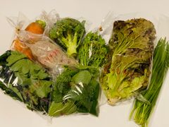 🌈ごきげん栽培🌈【農薬不使用】徳島県産冬野菜セット