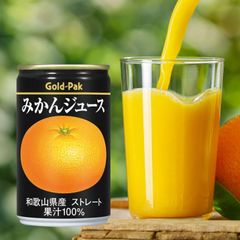 ゴールドパックジュース みかんジュース 160g×20缶 ストレート 果汁100％ 和歌山 うんしゅうみかん ミカン 果物 フルーツ ジュース 缶