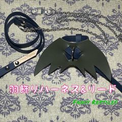 フトアゴヒゲトカゲ用羽飾りハーネス&リード ドラゴン