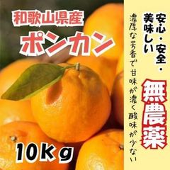 無農薬無肥料除草剤不使用 ポンカン箱込10キロ