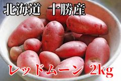 【じゃがいもよりサツマイモに近い味わい】北海道 十勝産 レッドムーン 土付き S~Lサイズ じゃがいも 芋 ジャガイモ 浦幌町 (2kg)