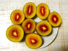 レッドキウイ(紅芯キウイ)　追熟前の果実4㎏＋α