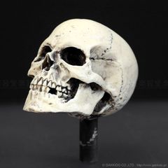 Item thumbnail for item cfb6b84f-b467-4fbb-a09e-855cda1980e2