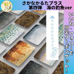 第4弾 さかなかるたプラス 海の釣魚版 6枚組 ガモットラボ かるた カードゲーム お風呂で遊べる うろこ 千葉印刷 誕生日 プレゼント 子供 おもちゃ 知育 知育玩具 卒園 入学