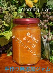 🍊🍎夏みかん＆りんご&ブラッドオレンジの手作り無添加ジャム(コンフィチュール)