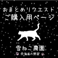 Hide様 リクエスト 2点 まとめ商品