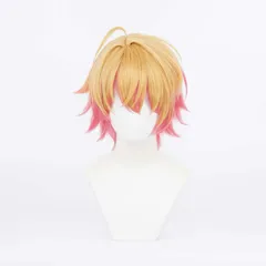 コスプレ ウィッグ 変装用 仮装 耐熱ウィッグ コスプレ コスチューム用小物 LVMEY星野アクア ウィッグネット付き コミケイベント ハロウィン クリスマス 文化祭 お祭り 学園祭